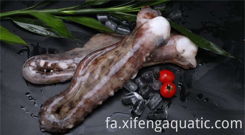 شاخک های ماهی مرکب Squid Tentacles